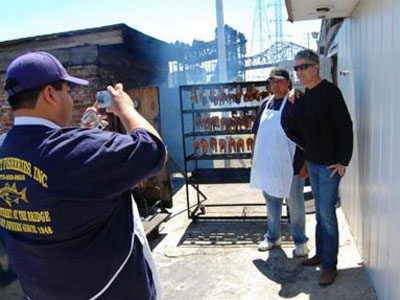 Css Template Preview