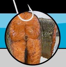 Smoked Trout